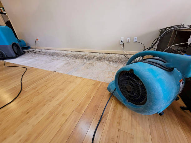 Professional Ceiling Water Damage Repair technician working in Santo, TX
