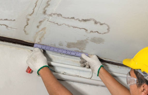 Affordable Ceiling Water Damage Repair solutions in Santo, TX